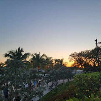 Regatta Grove - sunset view - Cocktail Bars Near Me - Miami, Florida