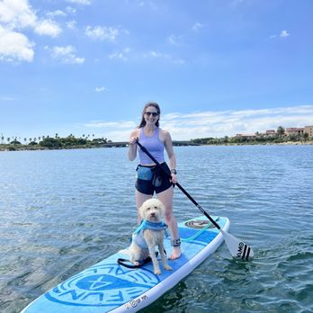 SUP Pups - Paddleboarding Near Me - San Diego, California