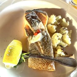 Field's at the Wilderness - Seared Scottish Salmon