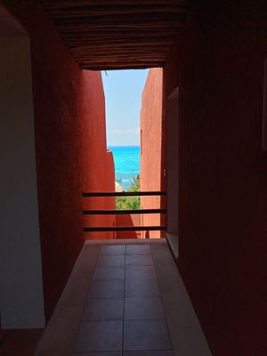 Casa de los Sueños by null