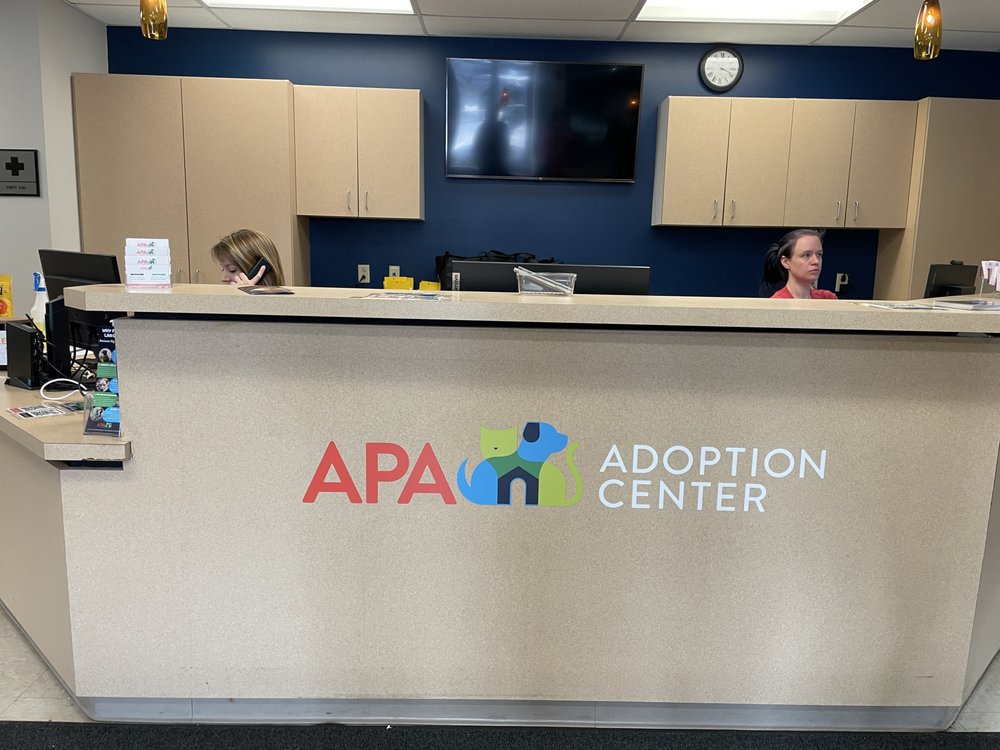 APA ADOPTION CENTER 10521 Baur Blvd, Olivette, Missouri Animal