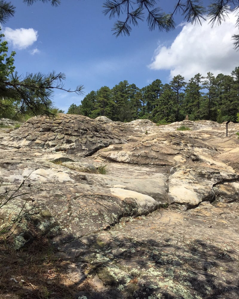 ROCK HOUSE CAVE TRAIL Updated March 2024 1285 Petit Jean Mountain