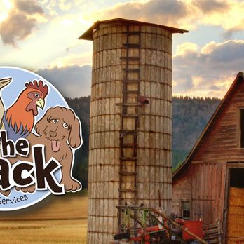 The Pack Pet Services - Pet Sitting Near Me The Pack Pet Services - Pet Sitting Near Me