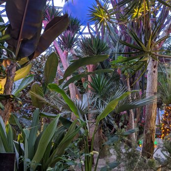Bloedel Conservatory - Botanical Gardens Near Me - Vancouver, British Columbia