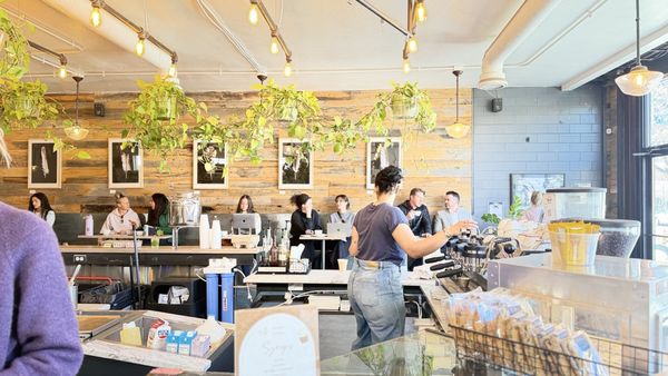 Aviano Coffee Cherry Creek North by null