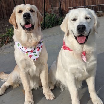 Pet Strands Grooming - Pet Groomers Near Me - Orange, California
