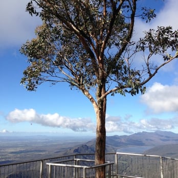 Grampians National Park - A tree in jail - Halls Gap, VIC Grampians National Park - A tree in jail - Halls Gap, VIC