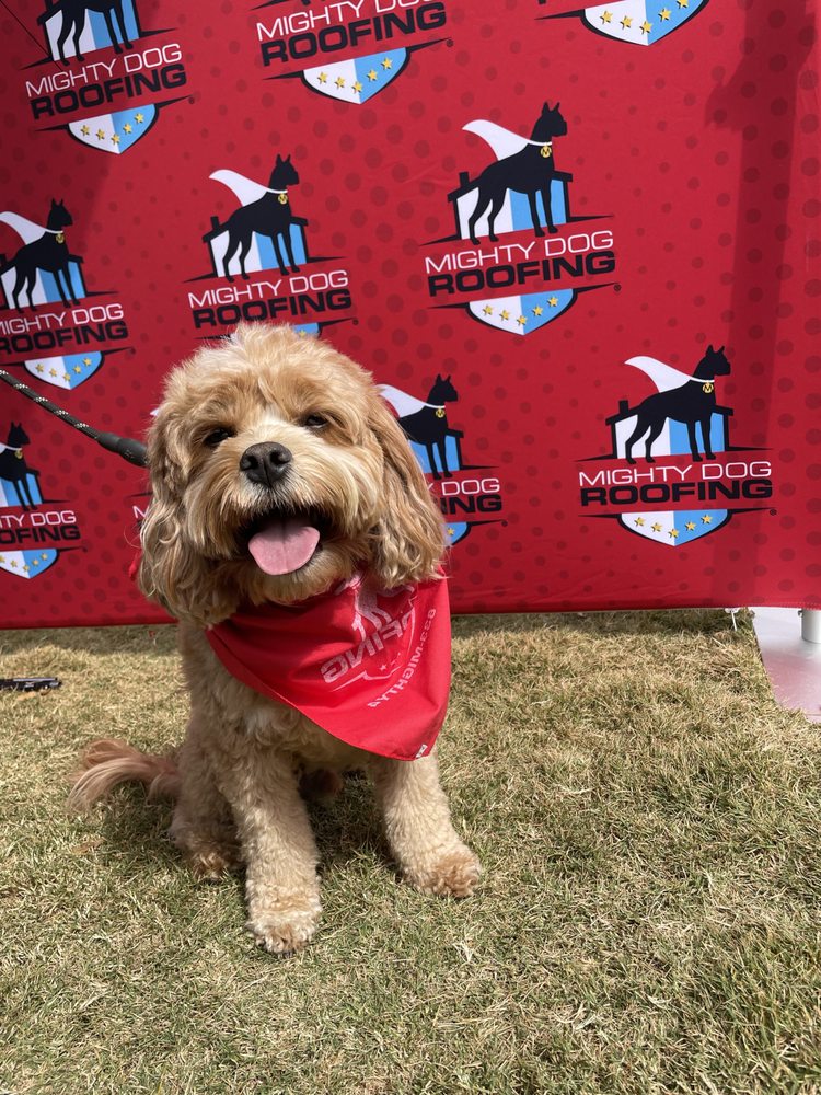 Slide of Mighty Dog Roofing of Northeast Atlanta