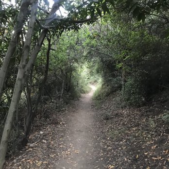 Mt. Wilson Trail - Parks Near Me - Sierra Madre, California Mt. Wilson Trail - Parks Near Me - Sierra Madre, California