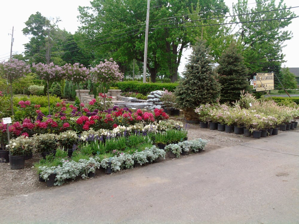 SPRINGLAKE NURSERY 14 Photos 3023 Narrows Rd, Perry, OH Yelp