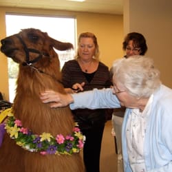 CDM Caregiving Services