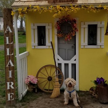 Allaire State Park - Dog friendly! - Parks Near Me - Farmingdale, New Jersey