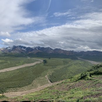 Denali Tundra Wilderness Bus Tour - Bus Tours Near Me - Denali, Alaska