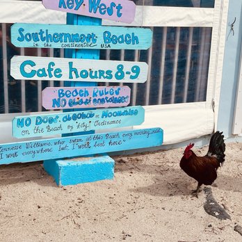Southernmost Beach Cafe - Friendly roosters (not in the menu obvi) - Venues & Event Spaces Near Me - Key West, Florida