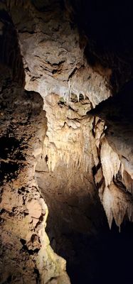 Oregon Caves National Monument & Preserve by null