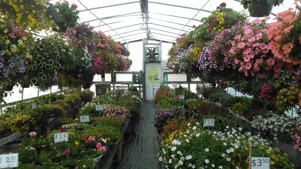 LEARVAL FARM GREENHOUSES Updated May 2024 457 County Rt 62