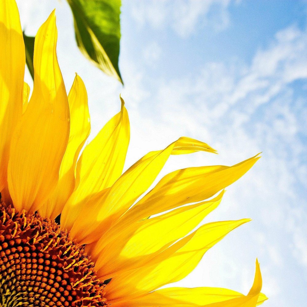 BULK FOODS & MORE Health Markets 401 Walter Reed Rd, Hodgenville