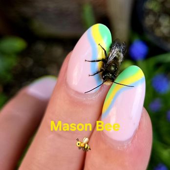 Nail Pro - Easter by DM - Nail Salons Near Me - Tacoma, Washington Nail Pro - Easter by DM - Nail Salons Near Me - Tacoma, Washington