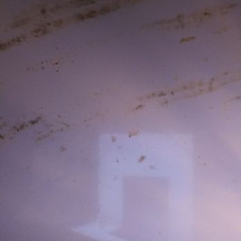 Quality Inn - Nasty microwave. - Hotels Near Me - Lewisburg, West Virginia Quality Inn - Nasty microwave. - Hotels Near Me - Lewisburg, West Virginia