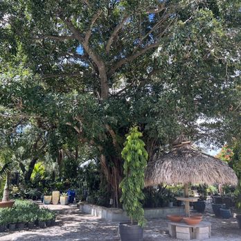 Delray Garden Center - Nurseries & Gardening Near Me - Delray Beach, Florida