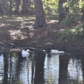 Macclenny Duck Pond - Parks Near Me - Macclenny, Florida