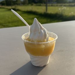 Medium Pina Colada soft serve with Pineapple