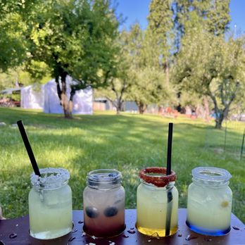 Grandpa's Cellar - Lavender lemonade flight - Bakeries Near Me - Camino, California Grandpa's Cellar - Lavender lemonade flight - Bakeries Near Me - Camino, California