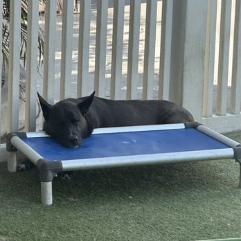 Ruff House Pet Resort - Pet Training Near Me - Riverside, California