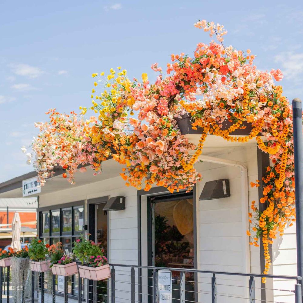 THE BEST 10 NURSERIES & GARDENING near PLAYAS, TIJUANA, BAJA CALIFORNIA,  MEXICO - Updated 2026 - Hours - Yelp