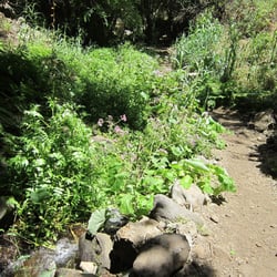 Barranco de los Cernicalos