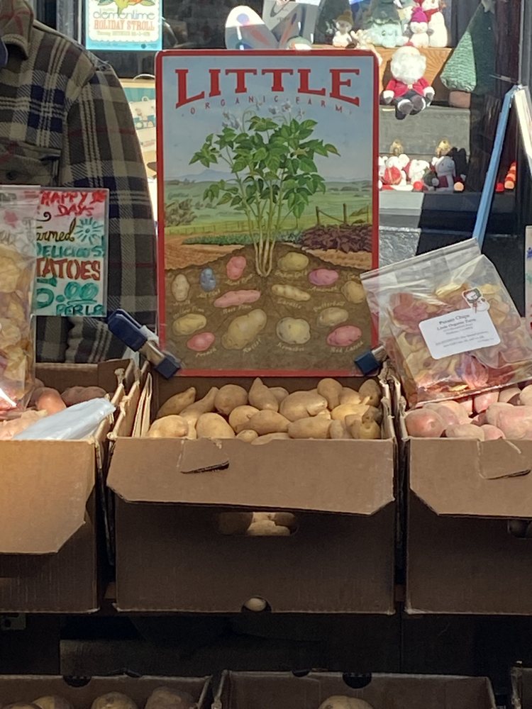 Little Organic Farm Logo