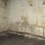 Photo of Mold Abatement Contractors, Inc