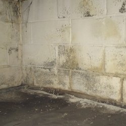Mold Abatement Contractors, Inc - Tired of coating and re-coating those below grade cinderblock walls? Call Mold Abatement today and about our elastomeric coatings!!!