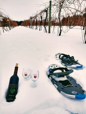 Saint Croix Vineyards by null