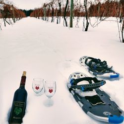 Saint Croix Vineyards - Winter show shoes in the vineyard