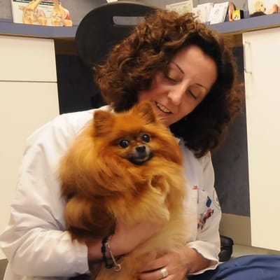 livs animal hospital