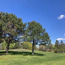 Centennial Park