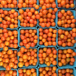 Love Grows CSA