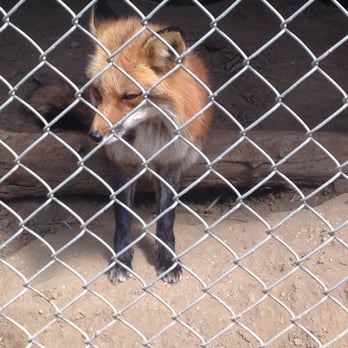 Wildlife Learning Center - Zoos Near Me - Sylmar, California Wildlife Learning Center - Zoos Near Me - Sylmar, California