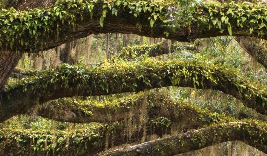 CooteCare Counseling - grief counselor in Savannah, GA