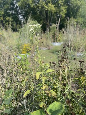 Anita B. Gorman Conservation Discovery Center by null