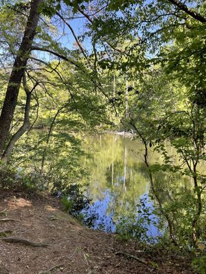 Paris Mountain State Park by null