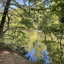 Paris Mountain State Park - Lake