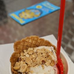 Ice Cream Social of DBS - Elephant Ear single dip in waffle bowl