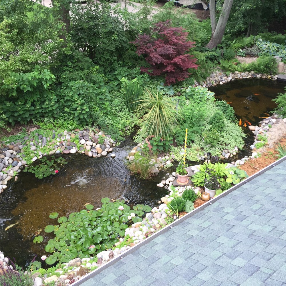 Lake Street Commons Lodging - View of koi pond from balcony of the one bedroom apartment - Vacation Rentals Near Me - Saugatuck, Michigan Lake Street Commons Lodging - View of koi pond from balcony of the one bedroom apartment - Vacation Rentals Near Me - Saugatuck, Michigan