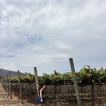 Behind The Scenes Wine Tours - Wine Tours Near Me Behind The Scenes Wine Tours - Wine Tours Near Me