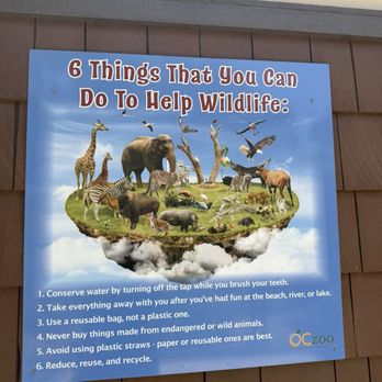 OC Zoo Irvine Regional Park - Yes - Parks Near Me - Orange, California OC Zoo Irvine Regional Park - Yes - Parks Near Me - Orange, California