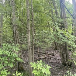 Crosswinds Marsh - Really pretty trail