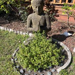 The Lotus Pond