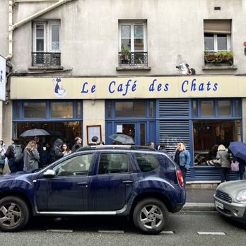 Le Café des Chats - Themed Cafes Near Me - Paris, 75